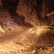 3.12.11 TP Bystr�-Trp�n