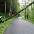 TP - 2.6.2013 v 10.32 hod. strom nad vozovkou Bystr� - Hamry