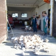 Příprava na sekční vrata 4.6.2010