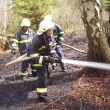 29.4.2012 - požár les Jedlová