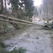 TP - Stromy Hamry 27.12.20
