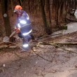 Strom Bystr� - Hamry 29.3.2009