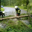 V�trn� smr�� 10.7.2011