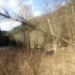 Po��r stromu v el. veden� Svojanov 25.2.17