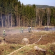 Po��r lesa v Jedlov� 11.4.2009