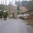 23.1.2014 TP - Svojanov